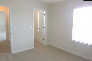 297 Massey Cir, Chapin, SC 29036 - Photo 9