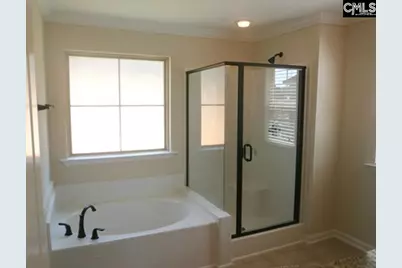 297 Massey Circle, Chapin, SC 29036 - Photo 15