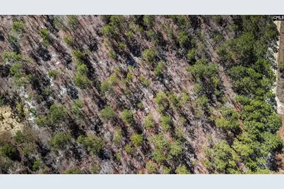 1B Spring Creek Road, Lugoff, SC 29078 - Photo 5