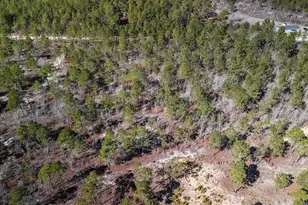 Tbd Spring Creek 1B Rd, Lugoff, SC 29078 - Photo 1