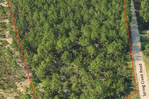 Tbd Spring Creek 1C Rd, Lugoff, SC 29078 - Photo 1