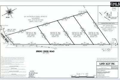 1C Spring Creek Road, Lugoff, SC 29078 - Photo 3