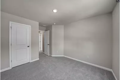 161 Winding Chestnut Drive, Columbia, SC 29212 - Photo 29