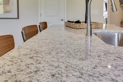 139 Bloomsbury Drive, Lexington, SC 29073 - Photo 21