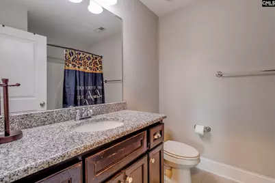720 Near Creek Drive, Blythewood, SC 29016 - Photo 17