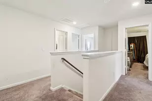 247 Chetsley Dr, Lexington, SC 29073 - Photo 7