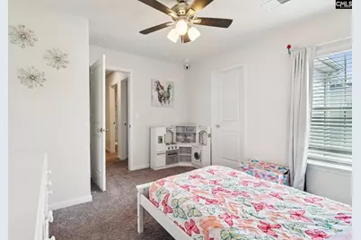 247 Chetsley Drive, Lexington, SC 29073 - Photo 11