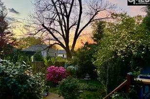 915 Chester St, Columbia, SC 29201 - Photo 39