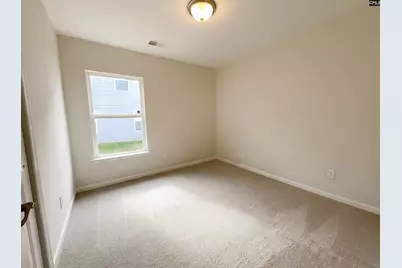 288 Wild Olive Drive, Columbia, SC 29229 - Photo 13