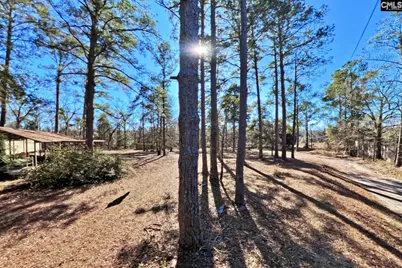 2311 Congaree Dr, Cayce, SC 29033 - Photo 35