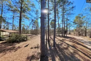 2311 Congaree Dr, Cayce, SC 29033 - Photo 35