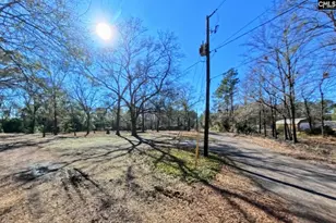 2311 Congaree Dr, Cayce, SC 29033 - Photo 39