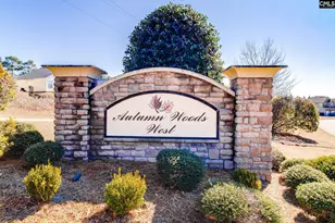 1009 Winter Wy, Lexington, SC 29073 - Photo 39