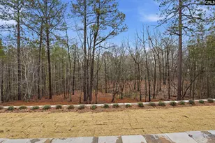 389 Highland Pointe Dr, Columbia, SC 29229 - Photo 79