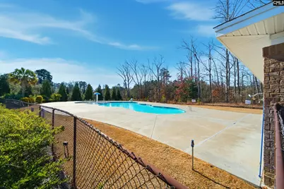 209 Madison Park Drive, Lexington, SC 29072 - Photo 29