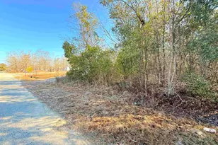 427 Gramercy Ln, Orangeburg, SC 29119 - Photo 35