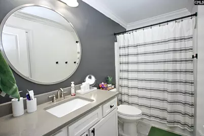 423 Congaree Ridge Court, West Columbia, SC 29170 - Photo 59