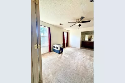 175 Savannah Hills Drive, Lexington, SC 29073 - Photo 15