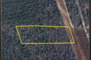 N/S Baynum Rd, Eastover, SC 29044 - Photo 1