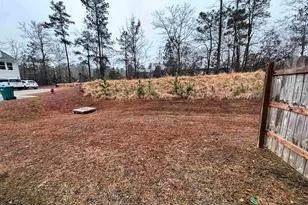 505 Kingfisher Ct, Lexington, SC 29072 - Photo 55