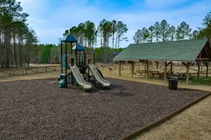 231 Timber Trl Ln, Prosperity, SC 29127 - Photo 87