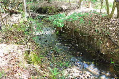 Tbd Crooked Creek Road, Chapin, SC 29036 - Photo 7