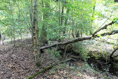 Tbd Crooked Creek Road, Chapin, SC 29036 - Photo 3