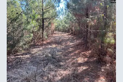 Tbd Crooked Creek Road, Chapin, SC 29036 - Photo 15