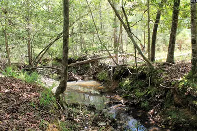 Tbd Crooked Creek Road, Chapin, SC 29036 - Photo 9