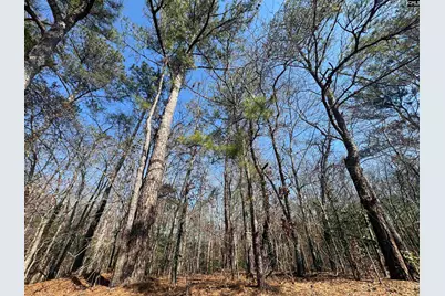 126 Folk Road, Blythewood, SC 29016 - Photo 1