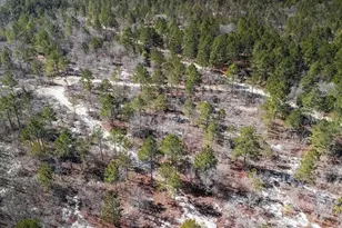 Tbd Spring Creek 1D Rd, Lugoff, SC 29078 - Photo 1