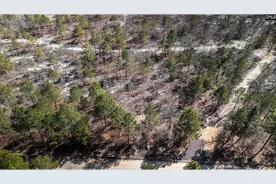 Tbd Spring Creek 1D Road, Lugoff, SC 29078 - Photo 13