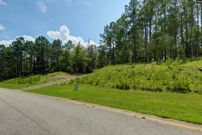 Tbd Retreat Way, Ridgeway, SC 29130 - Photo 9
