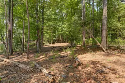 Tbd Retreat Way, Ridgeway, SC 29130 - Photo 3