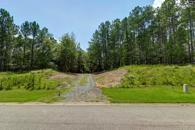 Tbd Retreat Way, Ridgeway, SC 29130 - Photo 11