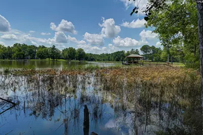 Tbd Retreat Way, Ridgeway, SC 29130 - Photo 7