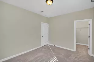 5 Mapleline Ct, Chapin, SC 29036 - Photo 31