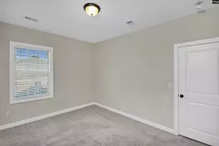 5 Mapleline Ct, Chapin, SC 29036 - Photo 33