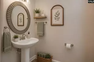 392 Eagle Pointe Dr, Chapin, SC 29036 - Photo 27