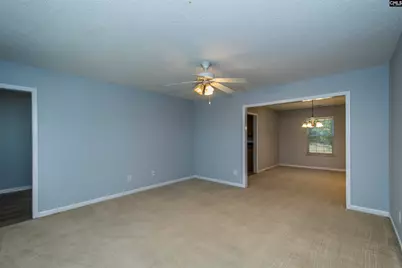 392 Eagle Pointe Drive, Chapin, SC 29036 - Photo 11