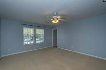 392 Eagle Pointe Drive, Chapin, SC 29036 - Photo 11