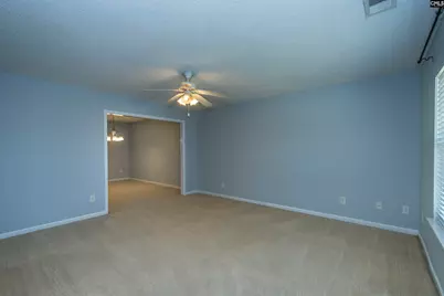 392 Eagle Pointe Drive, Chapin, SC 29036 - Photo 9
