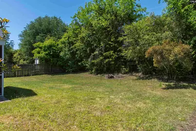 392 Eagle Pointe Drive, Chapin, SC 29036 - Photo 7