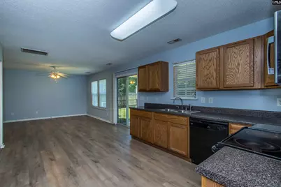 392 Eagle Pointe Drive, Chapin, SC 29036 - Photo 15