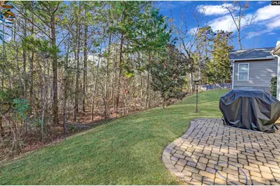 301 Explorer Drive, Chapin, SC 29036 - Photo 31