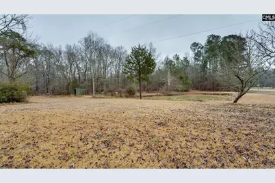 3199 Double Bridges Road, Batesburg, SC 29006 - Photo 21