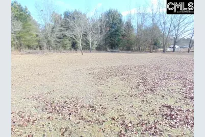 2291 Ninety Six Road, North, SC 29112 - Photo 13