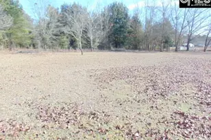 2291 Ninety 6 Rd, North, SC 29112 - Photo 13