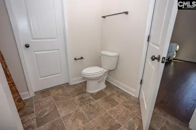 141 Coatbridge Drive, Blythewood, SC 29016 - Photo 21