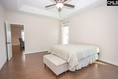 141 Coatbridge Drive, Blythewood, SC 29016 - Photo 17